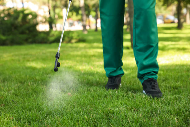 Best Termite Control Services  in Goodwater, AL