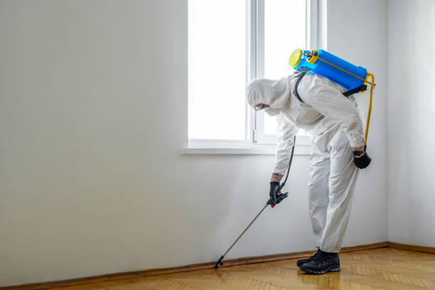 Best Bed Bug Extermination  in Goodwater, AL