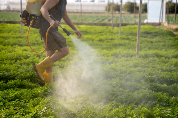 Best Affordable Pest Control Services  in Goodwater, AL