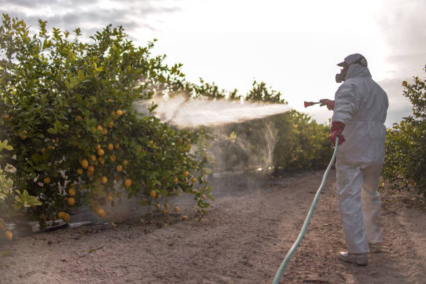Best Exterminator Services  in Goodwater, AL