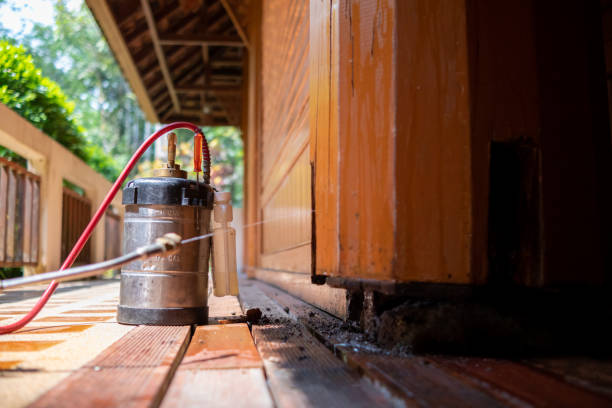 Best Local Pest Control Services  in Goodwater, AL