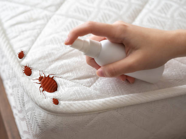  Goodwater, AL Pest Control Pros