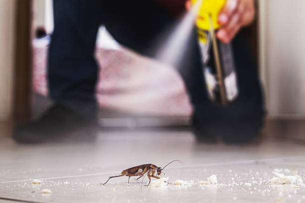 Professional Pest Control in Goodwater, AL