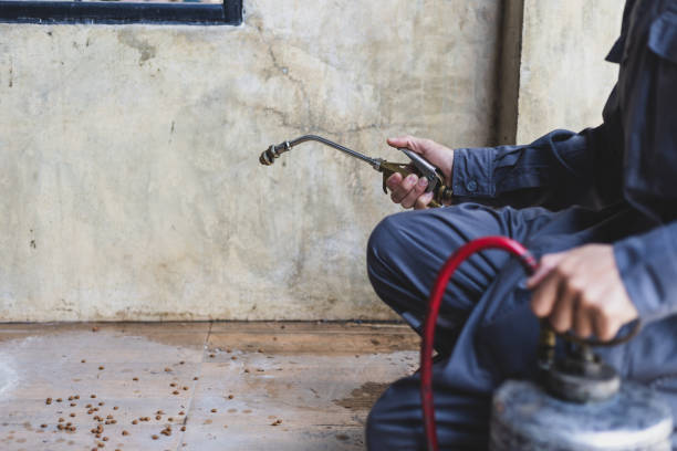 Best Cockroach Control Services  in Goodwater, AL